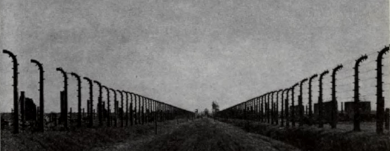  The Road to Totalitarianism (Revisited) Auschwitz-road